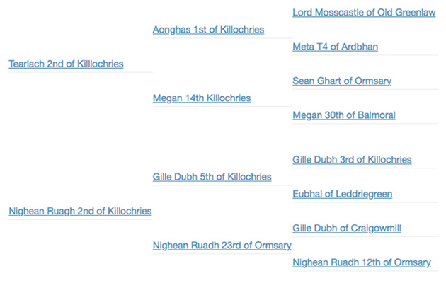 Pedigree Nighean Tearlach 2nd of Killochries