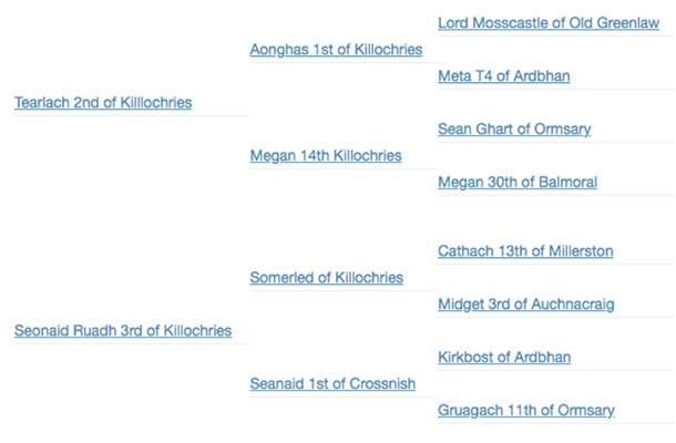 Pedigree Seonaid Tearlach 3rd of Killochries