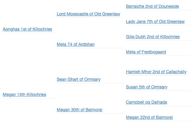 Tearlach 2nd of Killochries Pedigree